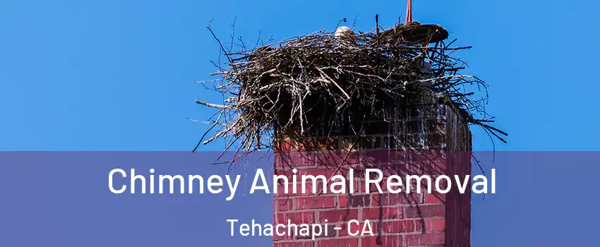  Chimney Animal Removal Tehachapi - CA