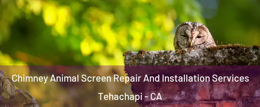  Chimney Animal Screen Repair And Installation Services Tehachapi - CA