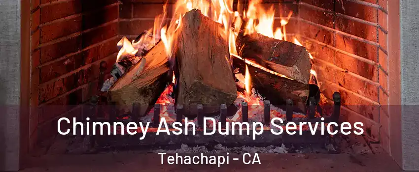 Chimney Ash Dump Services Tehachapi - CA
