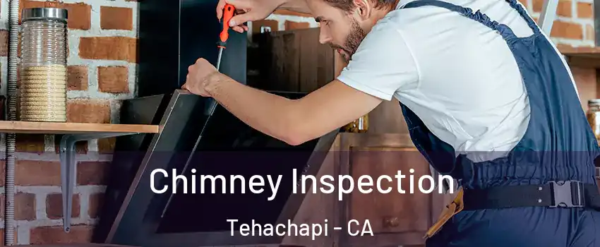  Chimney Inspection Tehachapi - CA