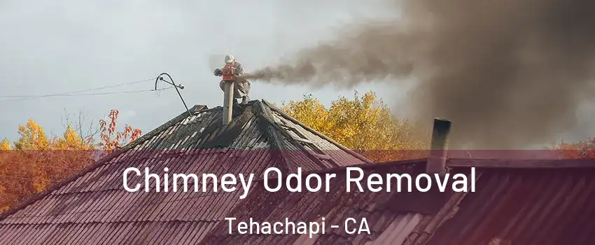  Chimney Odor Removal Tehachapi - CA