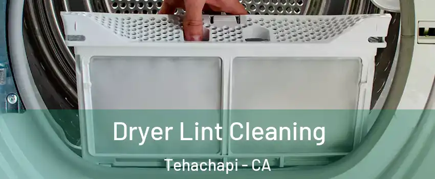  Dryer Lint Cleaning Tehachapi - CA