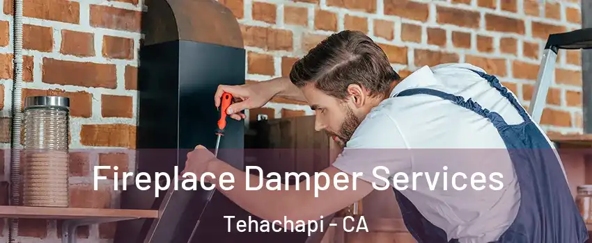  Fireplace Damper Services Tehachapi - CA