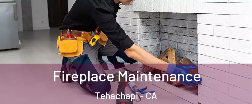  Fireplace Maintenance Tehachapi - CA