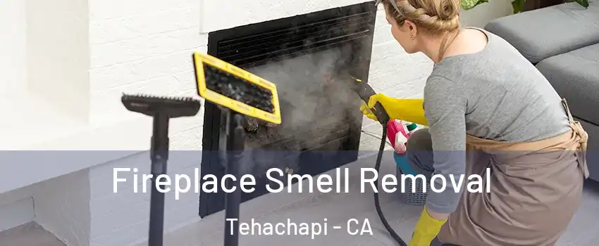  Fireplace Smell Removal Tehachapi - CA