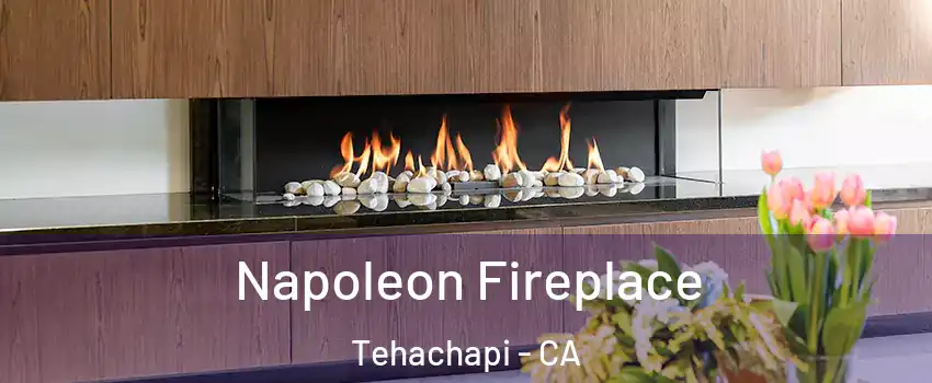  Napoleon Fireplace Tehachapi - CA