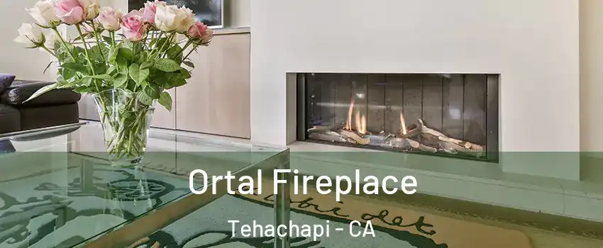  Ortal Fireplace Tehachapi - CA